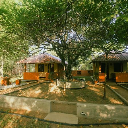 Hotel Niyagala Lodge Sigiriya Exterior foto