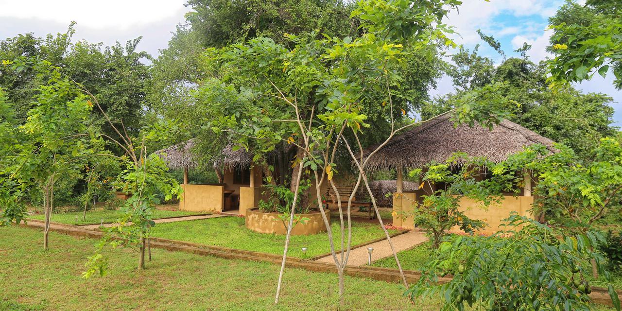 Hotel Niyagala Lodge Sigiriya Exterior foto
